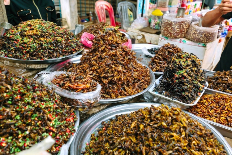 Идея для бизнеса – жуки как еда