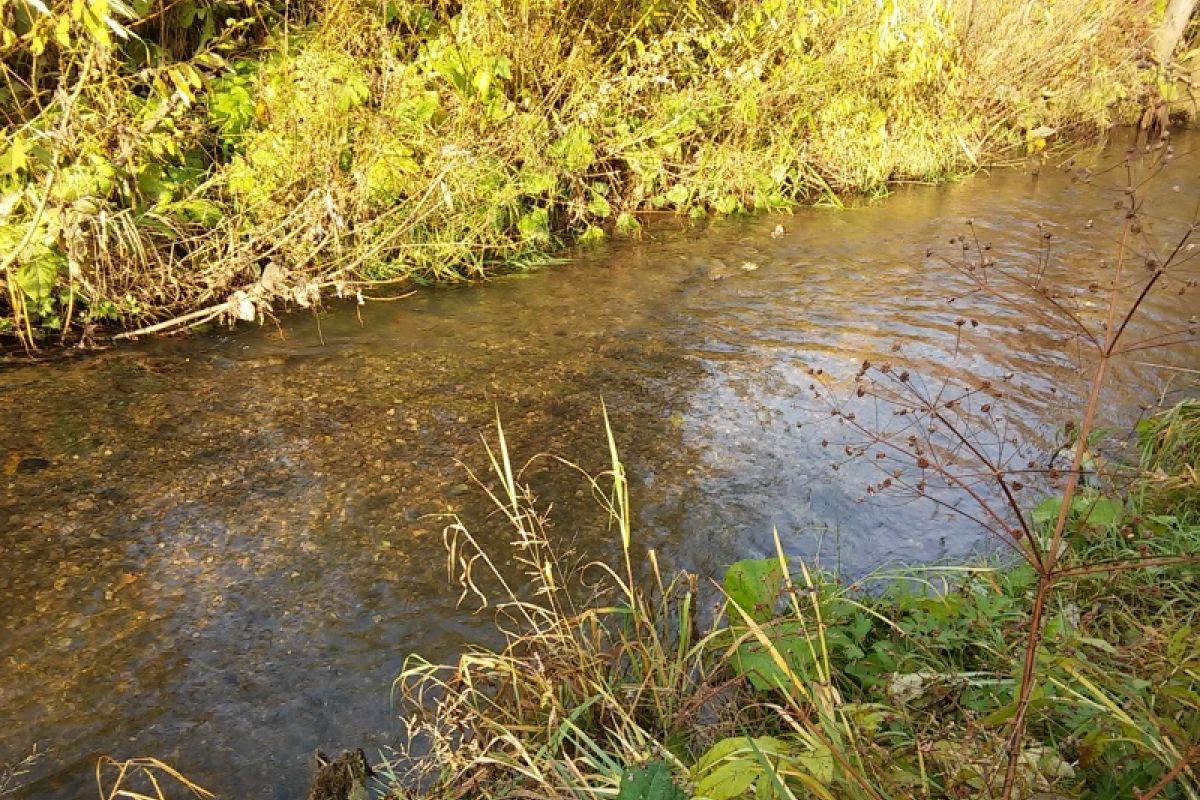 image 1507730744